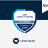 Exame Cyber and IT Security - CISEF (1 Ano de Acesso)